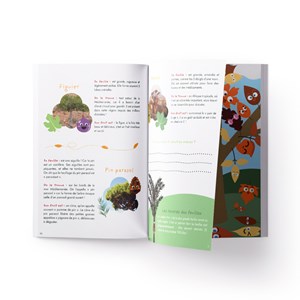 Carnet d'activité les feuilles d'arbres