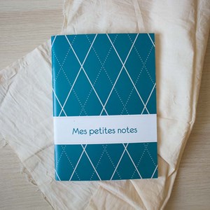 Carnet mes petites notes bleu