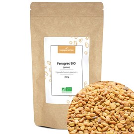 Fenugrec bio - 250g - graines entières