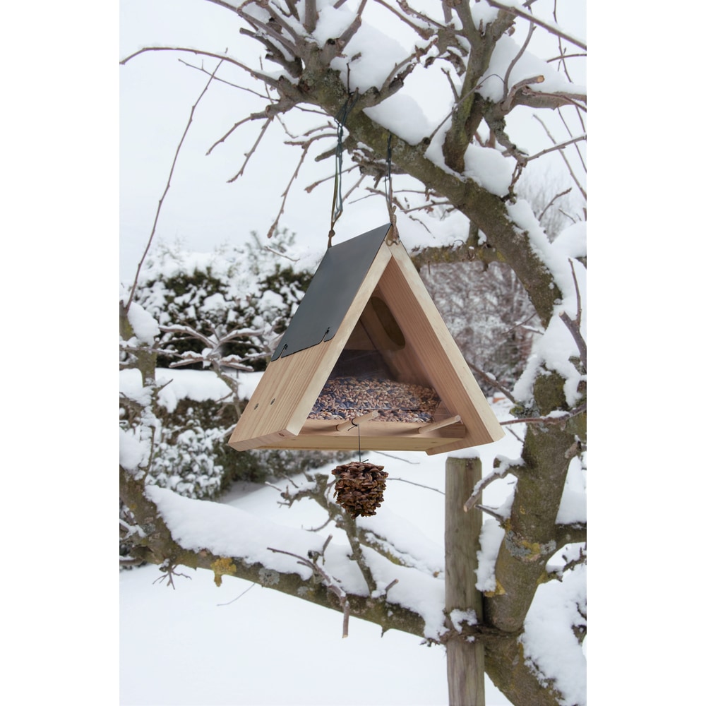 Kit de bricolage pour oiseaux avec carillon et mangeoire à oiseaux
