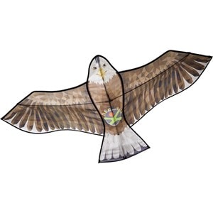 Cerf-volant aigle