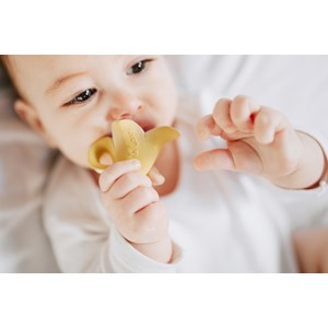 Mini anneau de dentition anita la banane