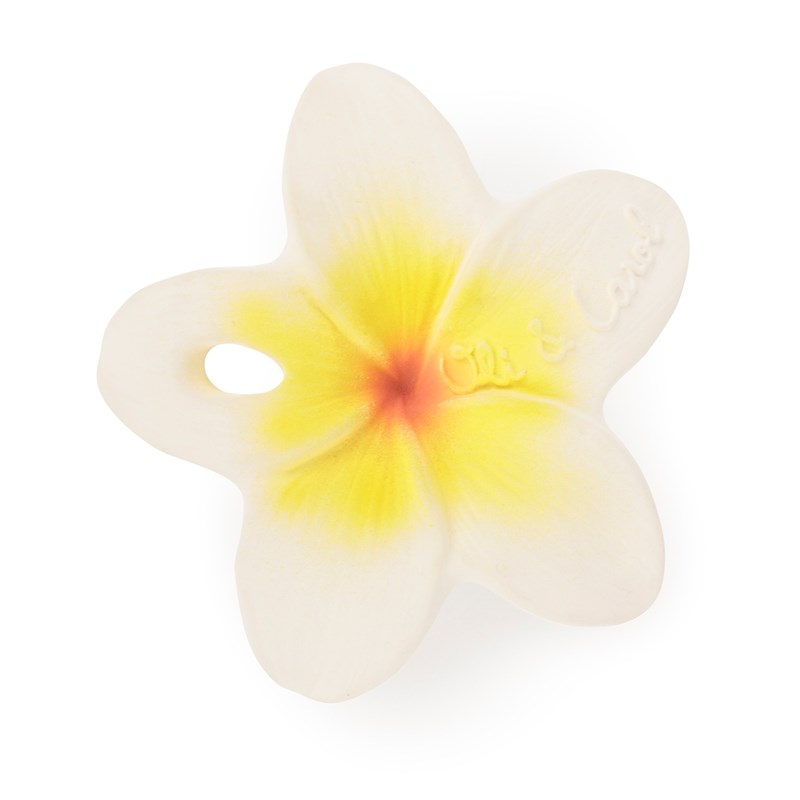 Jouet de dentition chewy hawaii la fleur
