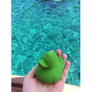Jouet de bain canard elvis