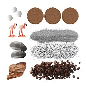 Radis et capucine-Terrarium à assembler