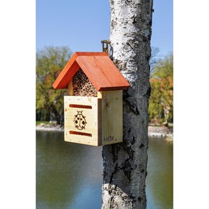 Hotel à insectes modèle coccinelles