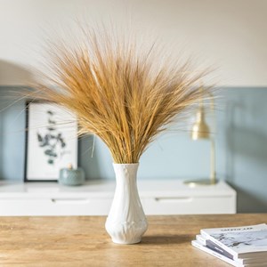 Bouquet de fleurs séchées barba naturel