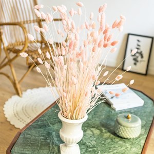 Bouquet de fleurs séchées phalaris rose