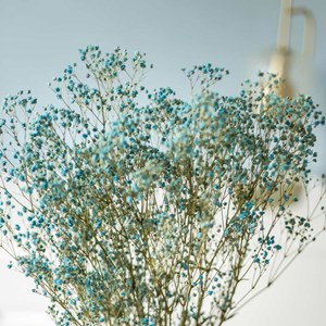 Bouquet de fleurs séchées gypsophile