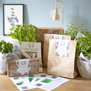Kit de jardinage plantes aromatiques