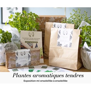 Kit de jardinage plantes aromatiques