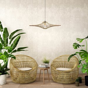 Suspension design singing brut d65