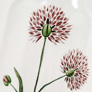 Carafe en verre peint 1l - bleuet rouge