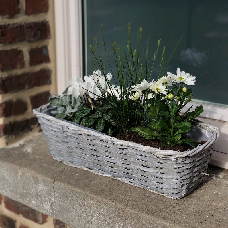 Jardinière en osier gris clair 35 cm (Aubry Gaspard) - Image 1