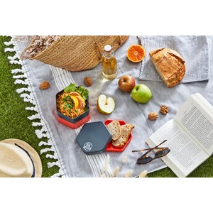 Fillgood – la bento végétale française