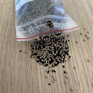 Filtre pour compresseur