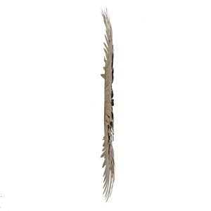 Miroir plumes dorées d53