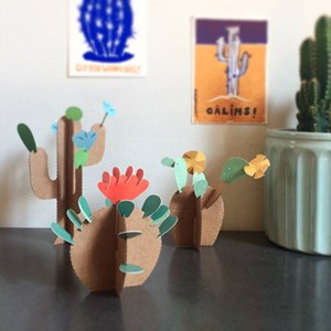 Kit créatif cactus
