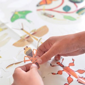 Poster stickers insectes