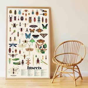 Poster stickers insectes
