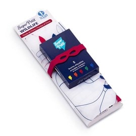 Set de table à colorier  panda  wildli