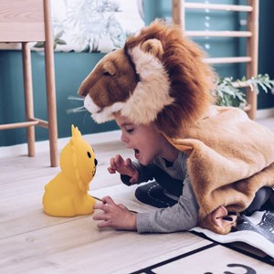 Mr maria lampe miffy & friends  first l