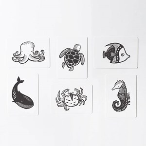 Cartes imagier animaux - océan
