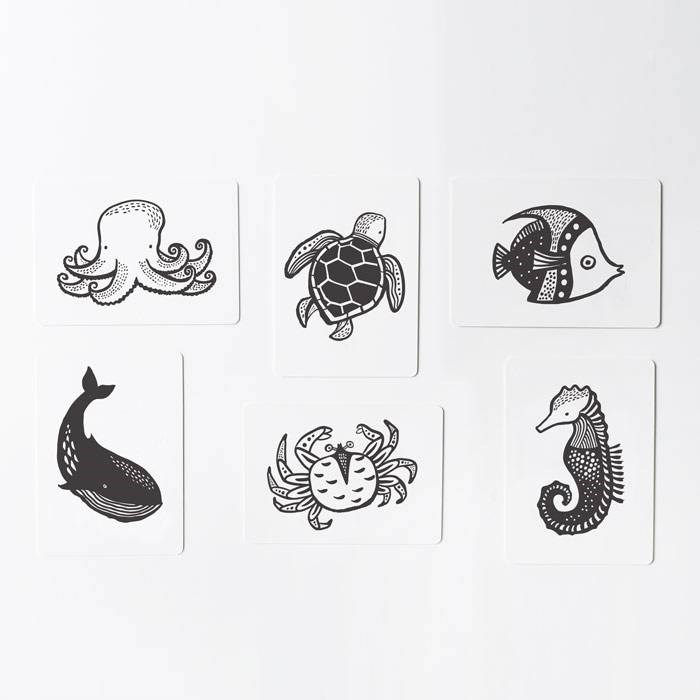 Cartes imagier animaux - océan (WEE GALLERY) - Image 1