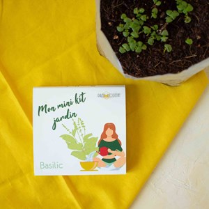 Kit diy - mini jardin basilic