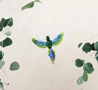 Broche oiseau