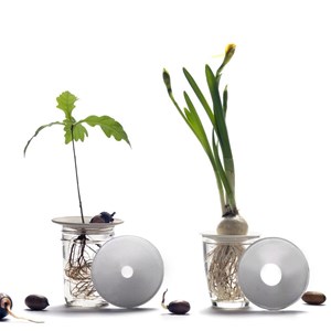 Coupelle de germination en porcelaine