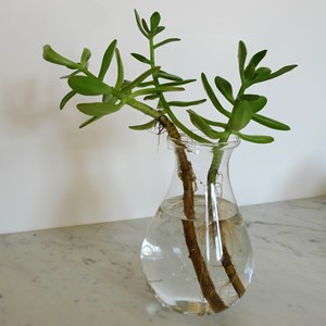 Vase en verre recyclé - medium