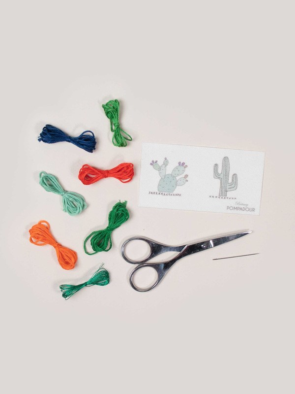 Kit easy broderie - cactus