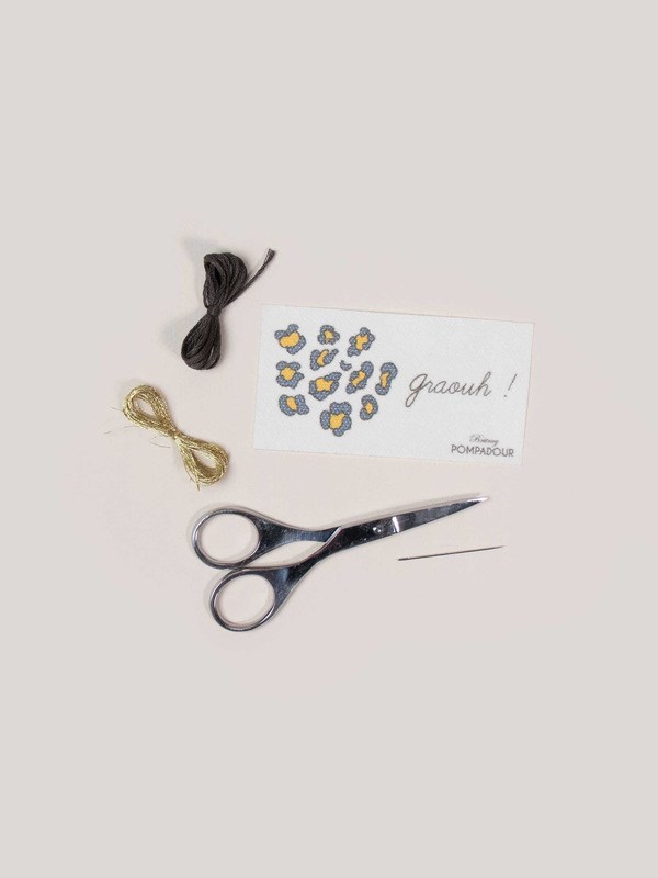 Britney Pompadour - Kit easy broderie - graouh !
