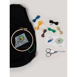 Kit easy broderie - plumes - voler