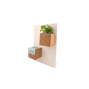 Grow cube aimanté basilic