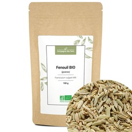 Fenouil bio - 100g - graines entières