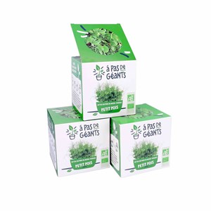 3 kits culture micro-pousses petits pois