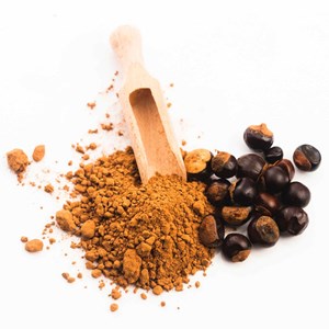 Guarana en poudre bio 70g