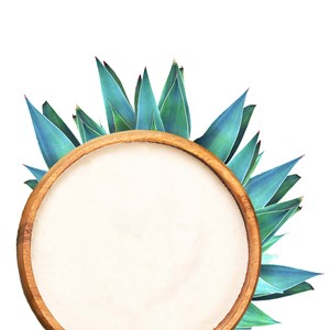 Inuline d'agave bio 250g