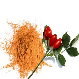 Poudre de cynorrhodon bio 250g