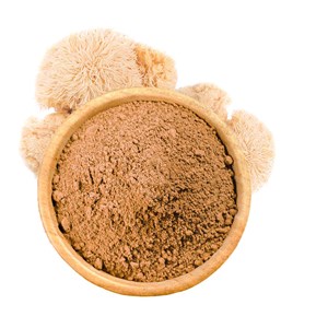 Hericium en poudre bio 50g