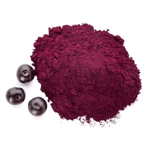 Açaï en poudre bio 100g