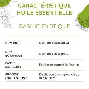 Basilic exotique bio - huile essentielle