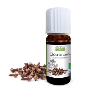 Girofle (clou) bio - huile essentielle