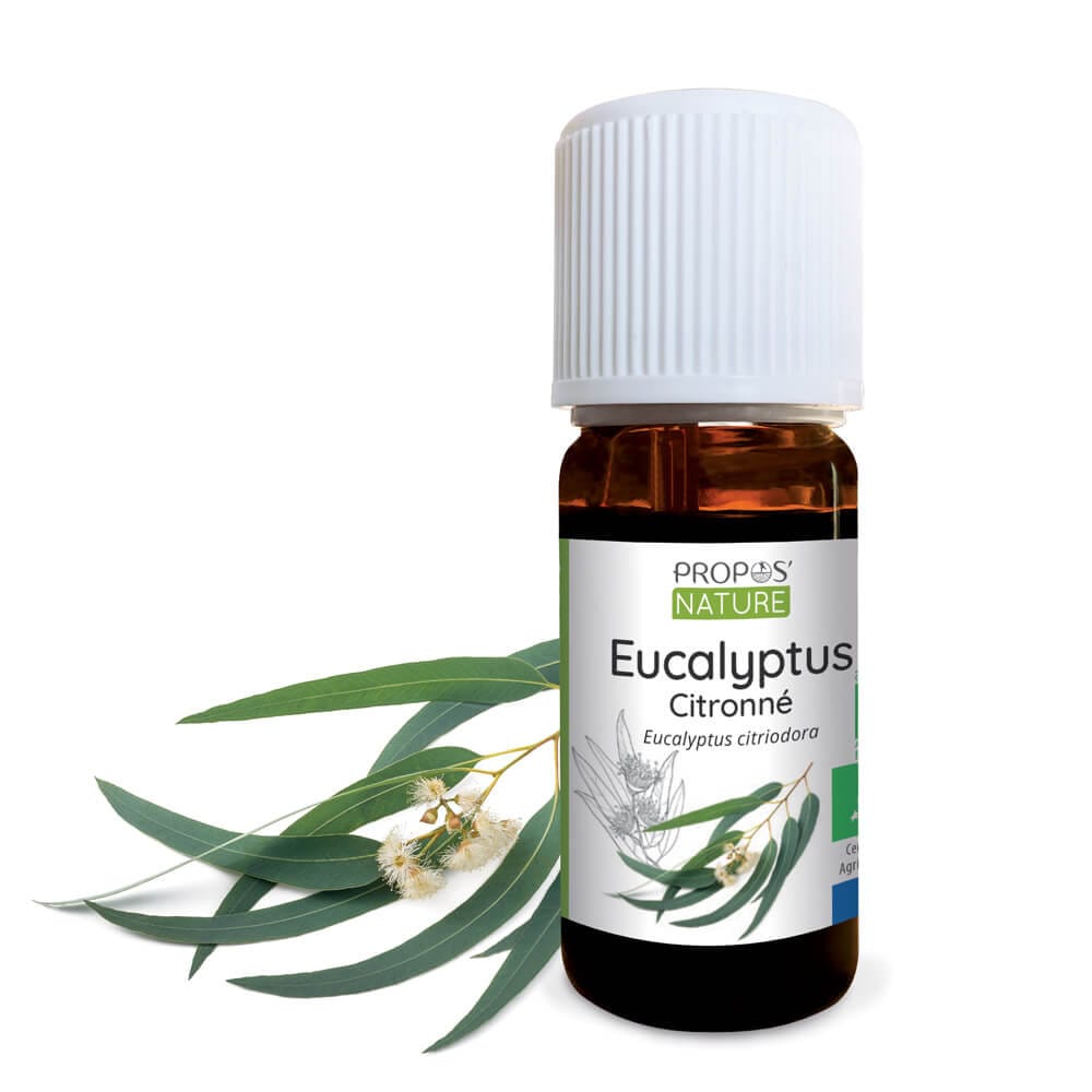 Eucalyptus citronné bio 10 ml huile essentielle - Sentier Nature
