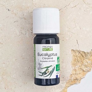 Eucalyptus citronné bio - huile essenti