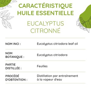 Eucalyptus citronné bio - huile essenti