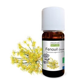 Fenouil doux bio (ab) - huile essentiell