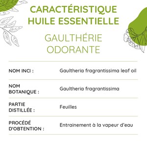 Gaulthérie bio - huile essentielle